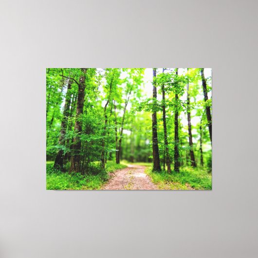 Pad in weelderig groen bos canvas afdruk (Voorkant)