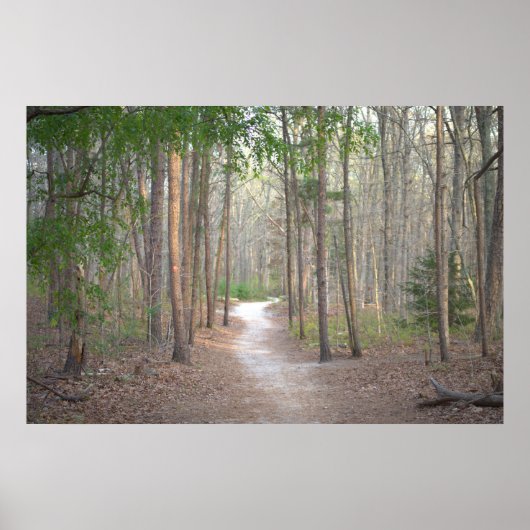 Pad met bomen poster (Voorkant)