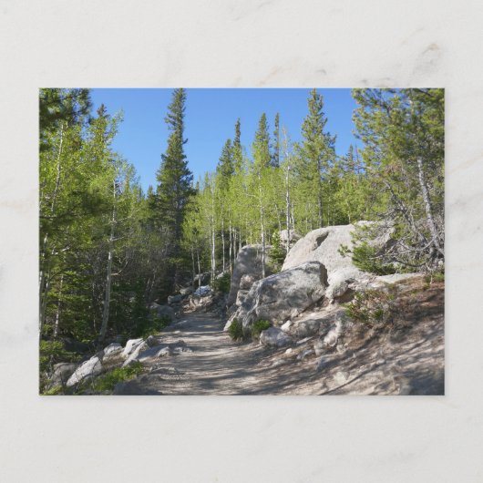 Pad naar Alberta Falls Briefkaart (Voorkant)