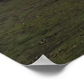 Pad naar Alfavatn Poster (Hoek)