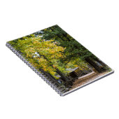 Pad naar algemene winkel van Kaysinger Notitieboek (Rechterzijde)