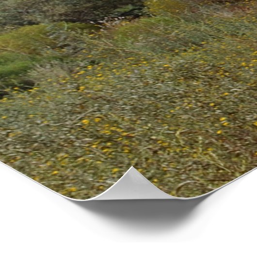 Pad naar Bell Rock 102 Poster (Hoek)