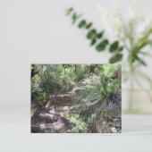 pad naar blauwe bergen briefkaart (Staand voorkant)