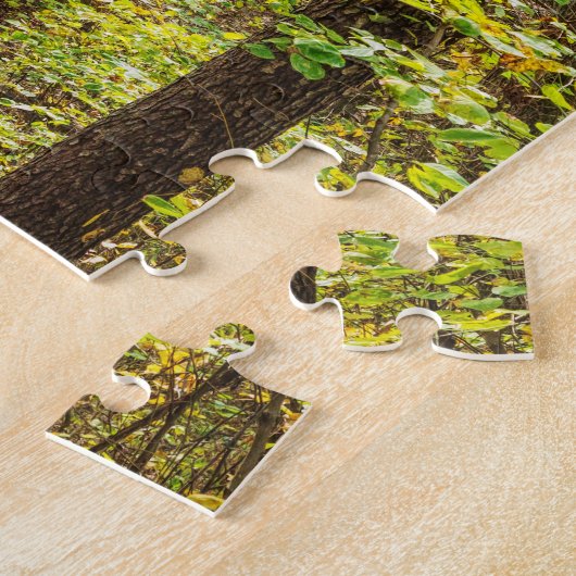 Pad naar de brug legpuzzel (Zijkant)