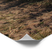 Pad naar de Oceaan Poster (Hoek)