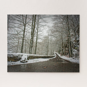 Pad naar Dreamweaver - Duits bos - 16x20 - 520 pc Legpuzzel