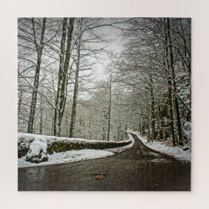 Pad naar dromenland - Duits bos -20x20-676 pcs Legpuzzel