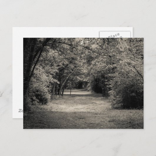 Pad naar het onbekende briefkaart (Voorkant / Achterkant)