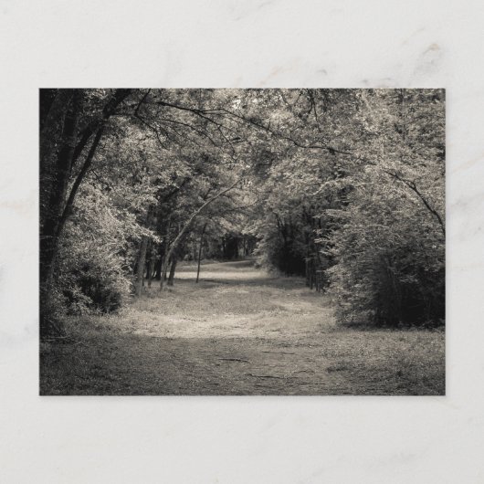 Pad naar het onbekende briefkaart (Voorkant)