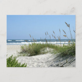Pad naar het Zee-Ocracoke-eiland Briefkaart