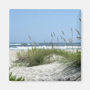 Pad naar het Zee-Ocracoke-eiland Magneet
