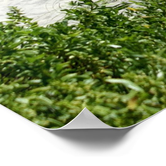 Pad naar het Zee Poster (Hoek)