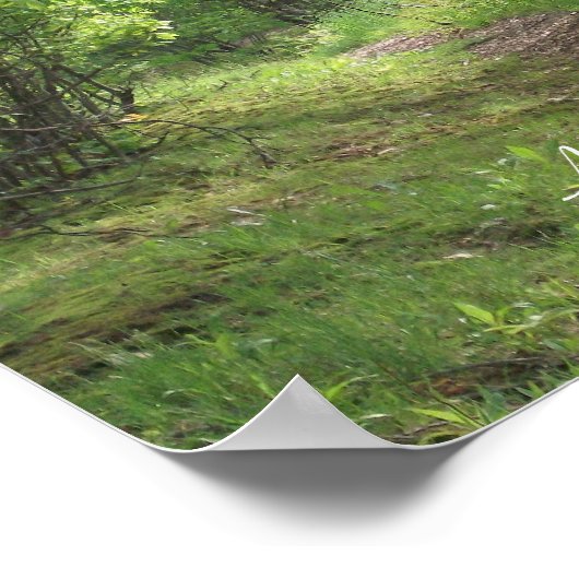 Pad naar leven #2 poster (Hoek)