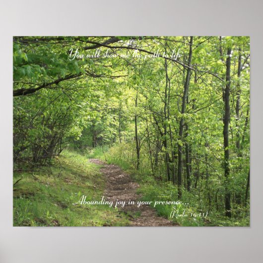 Pad naar leven #2 poster (Voorkant)