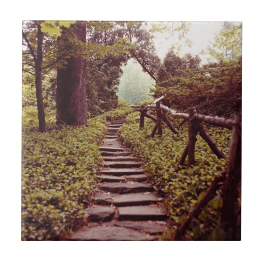 Pad naar licht tegeltje (Voorkant)