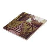 Pad naar licht tegeltje (Zijkant)