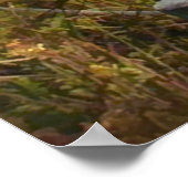 Pad naar Ocean Shoreline Poster (Hoek)