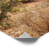 Pad naar Skyline Arch Poster (Hoek)