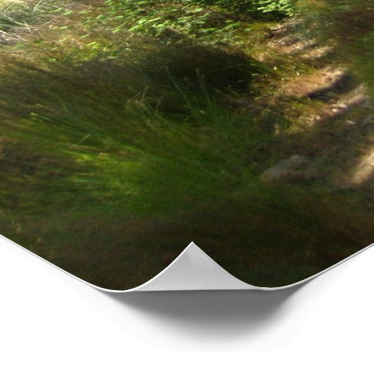 "Pad naar stil" Poster (Hoek)