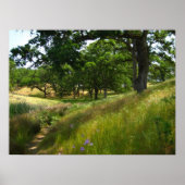 "Pad naar stil" Poster (Voorkant)