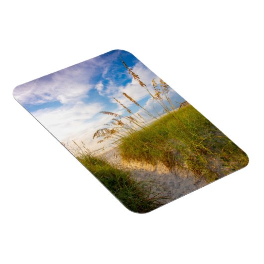 Pad naar strand magneet (Rechterzijde)