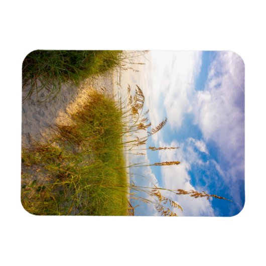 Pad naar strand magneet (Horizontaal)