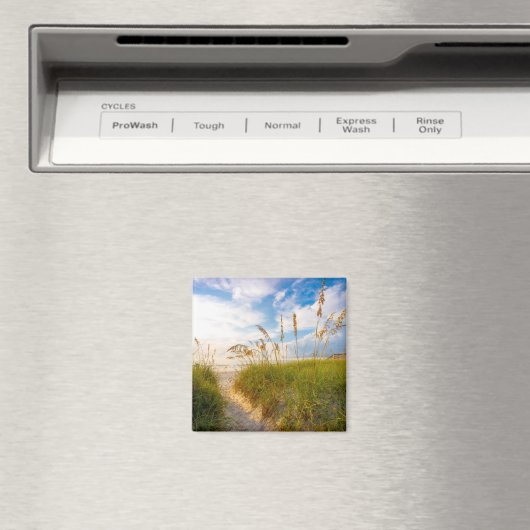 Pad naar strand magneet (Insitu (Vaatwasser))