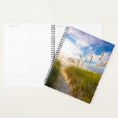 Pad naar strand planner (Display)