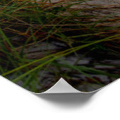 Pad naar strand poster (Hoek)