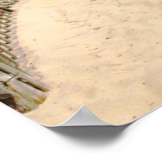 Pad naar strand poster (Hoek)