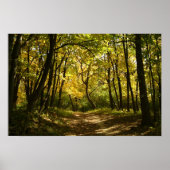 Pad Poster (Voorkant)