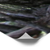 Pad Poster met Psalm 119:32 (Hoek)