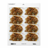 Pad Thai [ผั ไ ท ย] Thailand Street Food Etiket (Full Sheet)