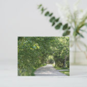 Pad tussen briefkaart bomen (Staand voorkant)