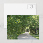 Pad tussen briefkaart bomen (Voorkant / Achterkant)