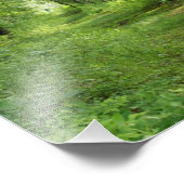 Pad tussen de bomen 10 x 8 Fotografische Druk Foto Afdruk (Hoek)