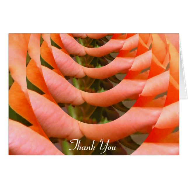 Pad van de Liefde_ (Voorkant Horizontaal)