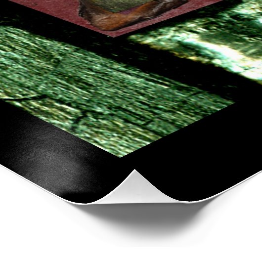 Pad van het leven perfect poster (Hoek)