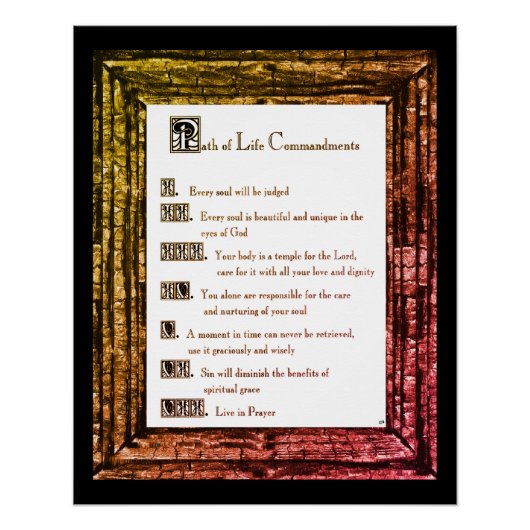 Pad van het leven poster (Voorkant)