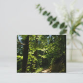 Pad van Silver Falls Briefkaart (Staand voorkant)