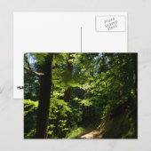 Pad van Silver Falls Briefkaart (Voorkant / Achterkant)