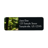 Pad van Silver Falls Etiket (Voorkant)