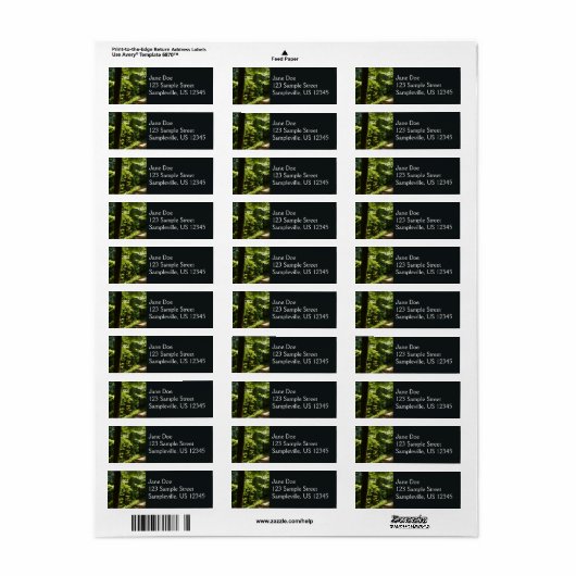 Pad van Silver Falls Etiket (Full Sheet)