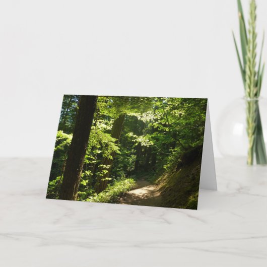 Pad van Silver Falls Kaart (Voorkant)