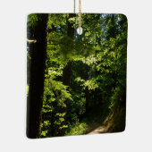Pad van Silver Falls Keramisch Ornament (Rechts)