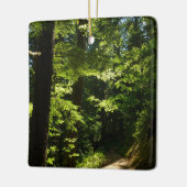 Pad van Silver Falls Keramisch Ornament (Links)