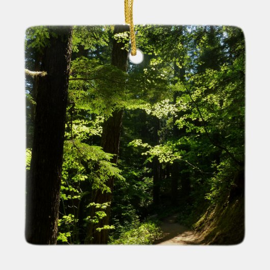 Pad van Silver Falls Keramisch Ornament (Voorkant)
