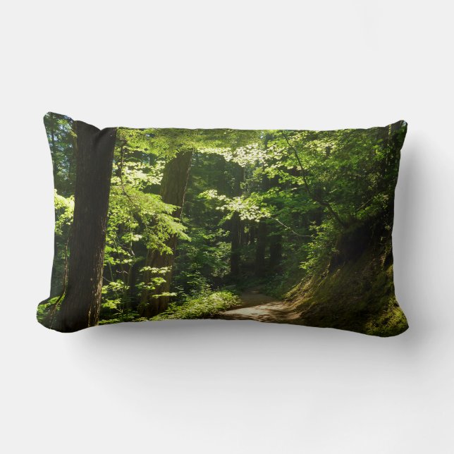 Pad van Silver Falls Kussen (Voorkant)