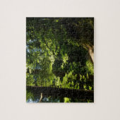 Pad van Silver Falls Legpuzzel (Verticaal)