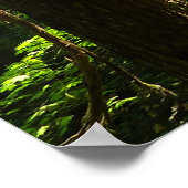 Pad van Silver Falls Poster (Hoek)